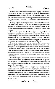 (Ei) kaadris