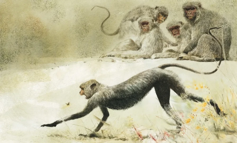 The Jungle Book