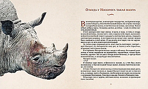 Der Elefant und andere Märchen