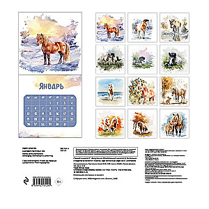 Pony Adventures. Wall Calendar for 2026