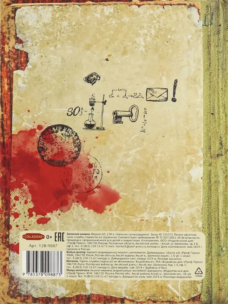 Notebook. Notes of a Madman