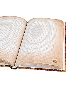 Notebook. Notes of a Madman