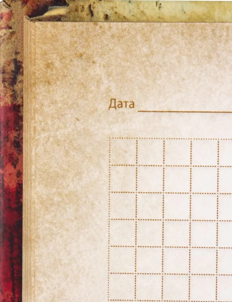 Notebook. Notes of a Madman