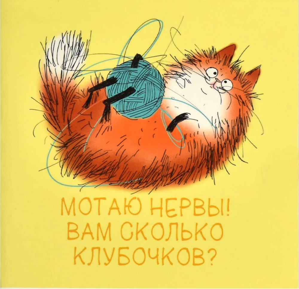 Notizbuch - Roter Kater, 32 Blätter, Karomuster