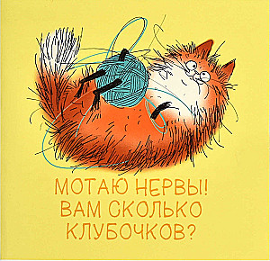 Notizbuch - Roter Kater, 32 Blätter, Karomuster