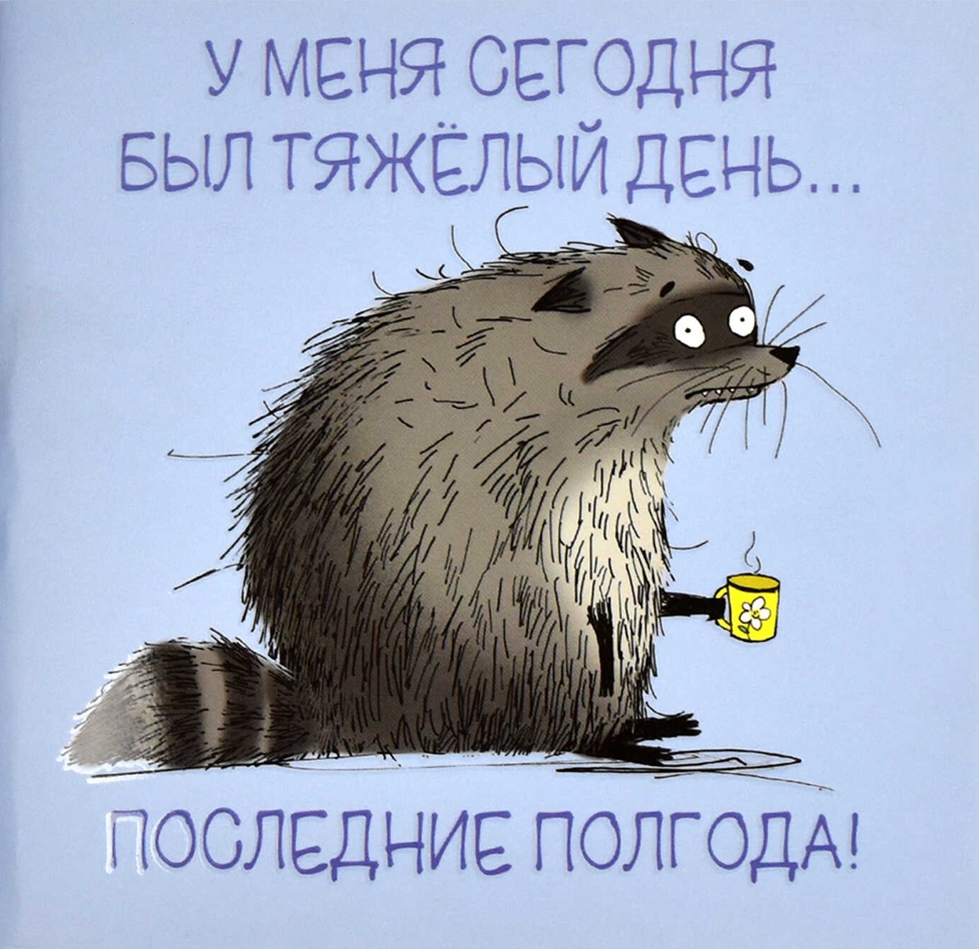 Notebook - Sleepy Raccoon, 32 sheets, combined