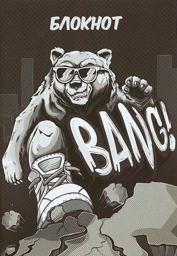 Notebook - Cool Grizzly, 40 sheets