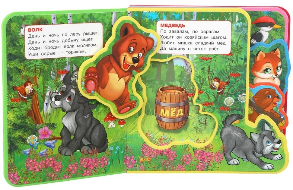 Forest Animals