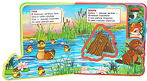Forest Animals