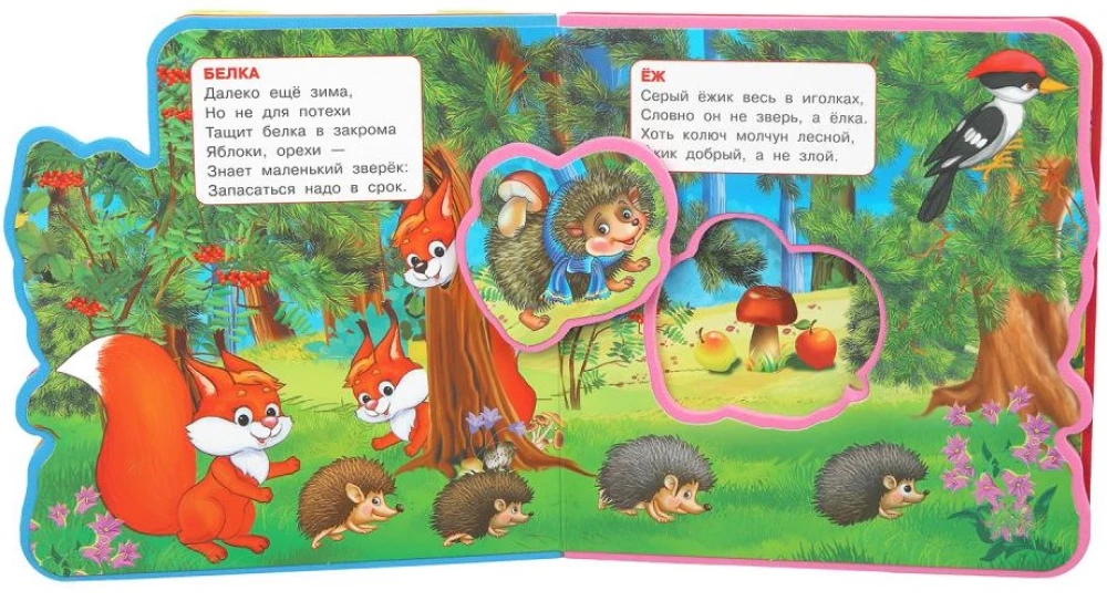 Forest Animals