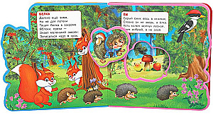 Forest Animals