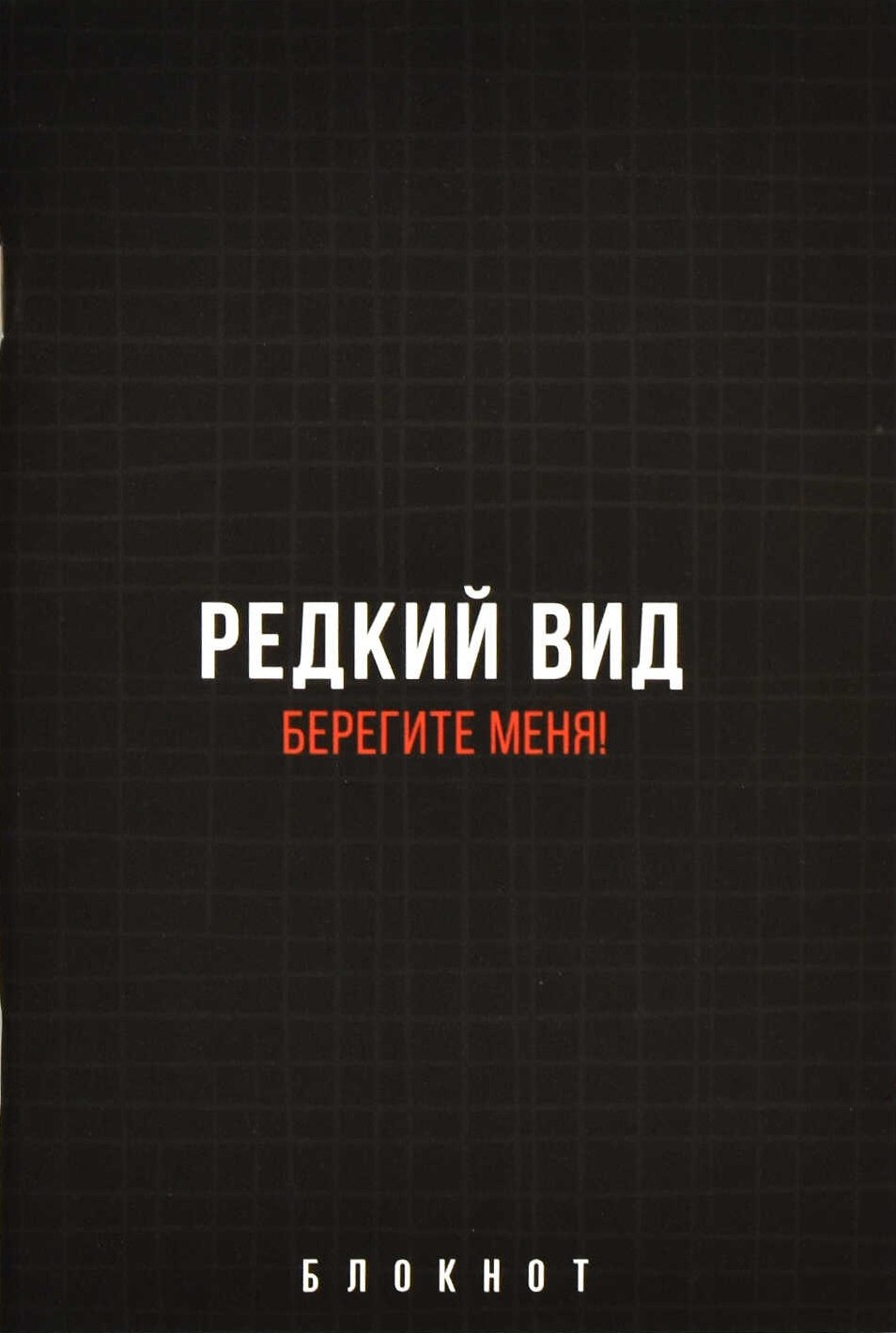 Notebook - Phrases with Character, 40 Sheets