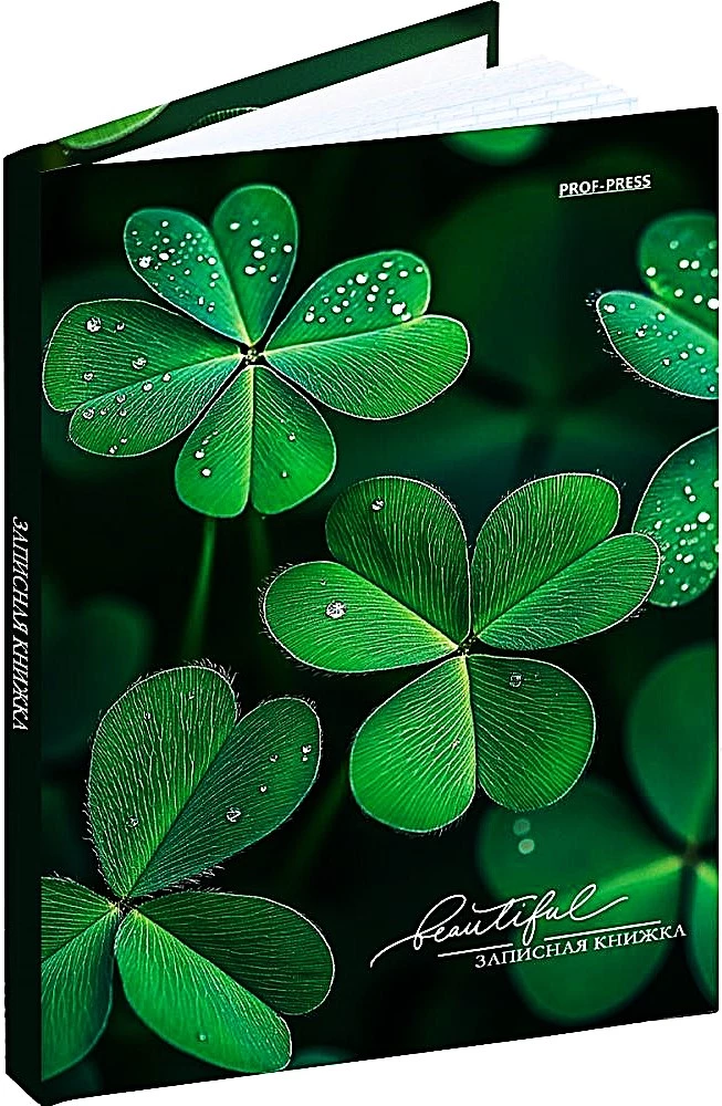 Notizbuch A6. Glücksklee
