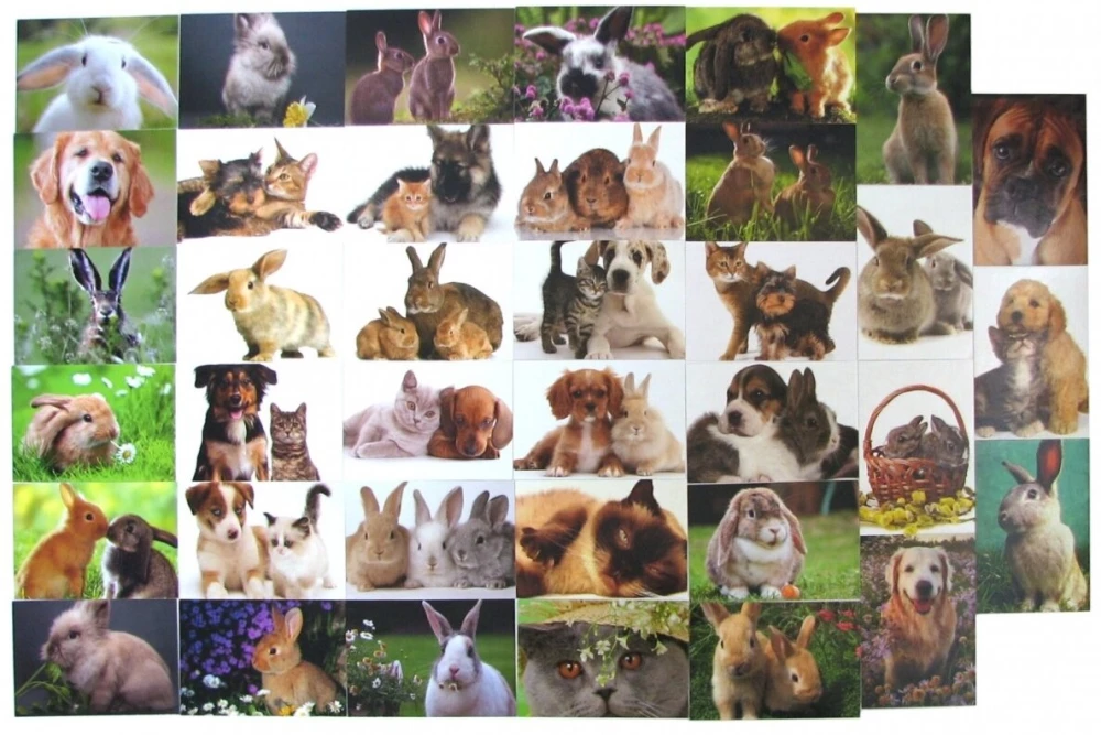 Pocket calendar 2026 (LV), assorted