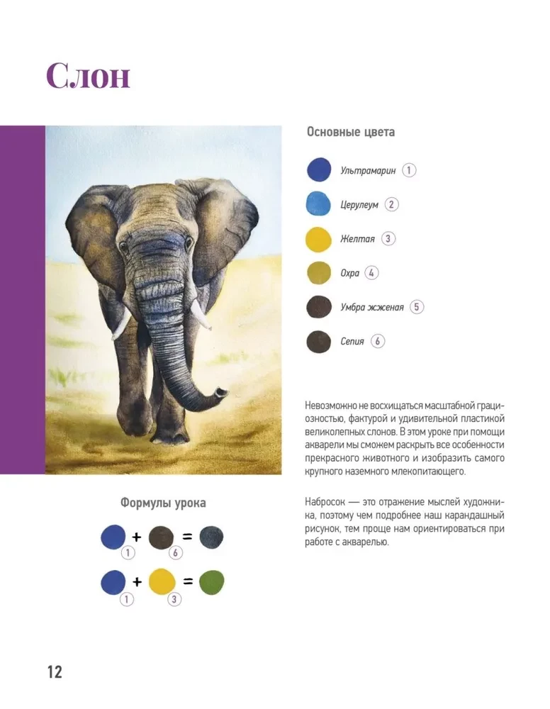School of Drawing. Wild Animals in Watercolor