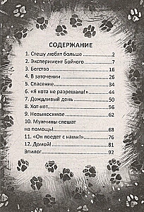 Nie zostawię cię. Kot, którego potrzebujemy