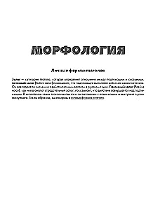Język angielski. Praktyczny kurs dla uczniów