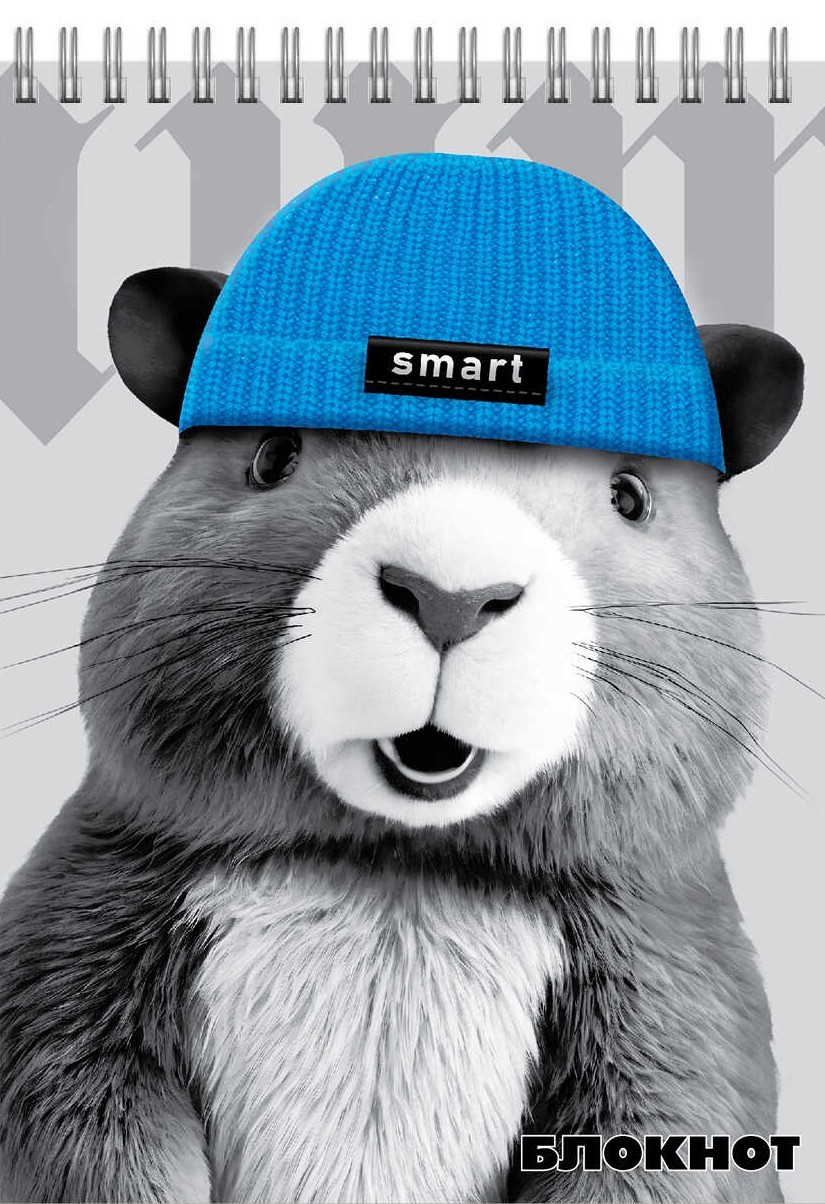 Notepad - Capybara in a Hat, A6, 96 Sheets, Grid