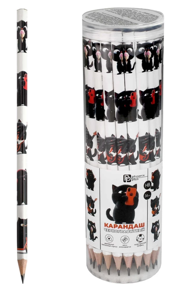 Pencil graphite - Black cat