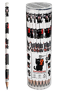 Pencil graphite - Black cat