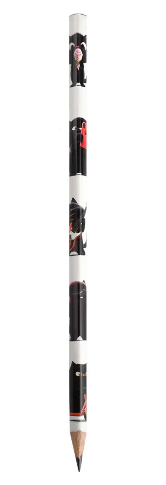 Pencil graphite - Black cat