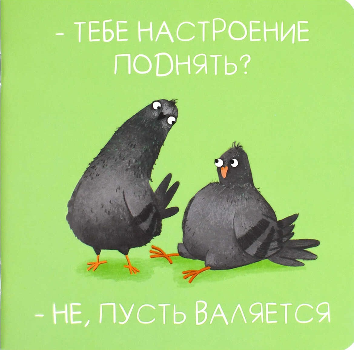 Notebook - Mischievous Pigeons, 32 sheets, combined