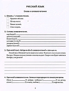 Leistungssteigerung. Russisch und Mathematik. 3. Klasse