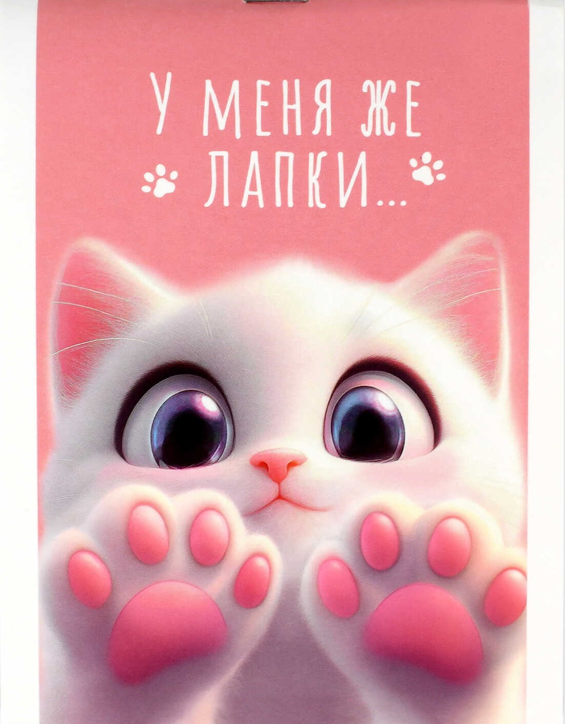 Notepad - Cat Paws, A6, 40 sheets, grid