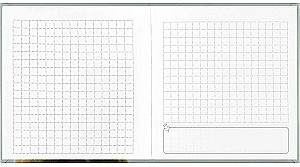 Notebook - Cat in a Hood, 48 sheets, grid