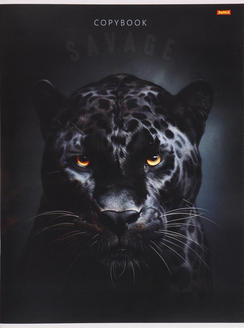 Тетрадь - Дикая кошечка, А4, 96 листов, клетка