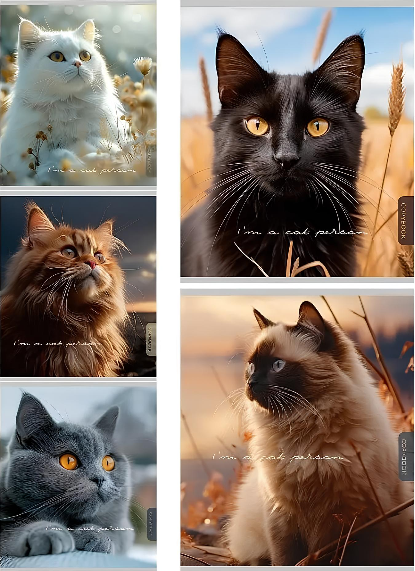 Burtnīca - Skaisti kaķi, A5, 96 lapas, rūtiņas, dažādībā