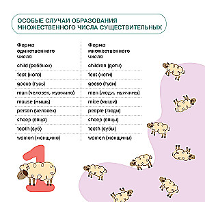 All the Rules of English Grammar for Beginners Under One Cover. Self-Teaching Poster