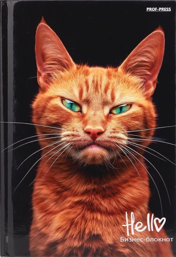 Business Notebook - Red Cat, A6, 80 sheets, grid