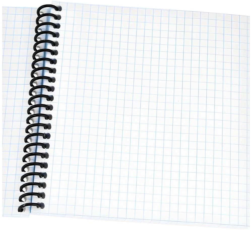 Notebook - Kittens in the Lens, A6, 80 sheets, grid