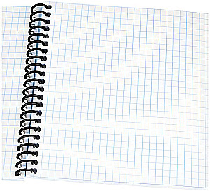 Notebook - Kittens in the Lens, A6, 80 sheets, grid