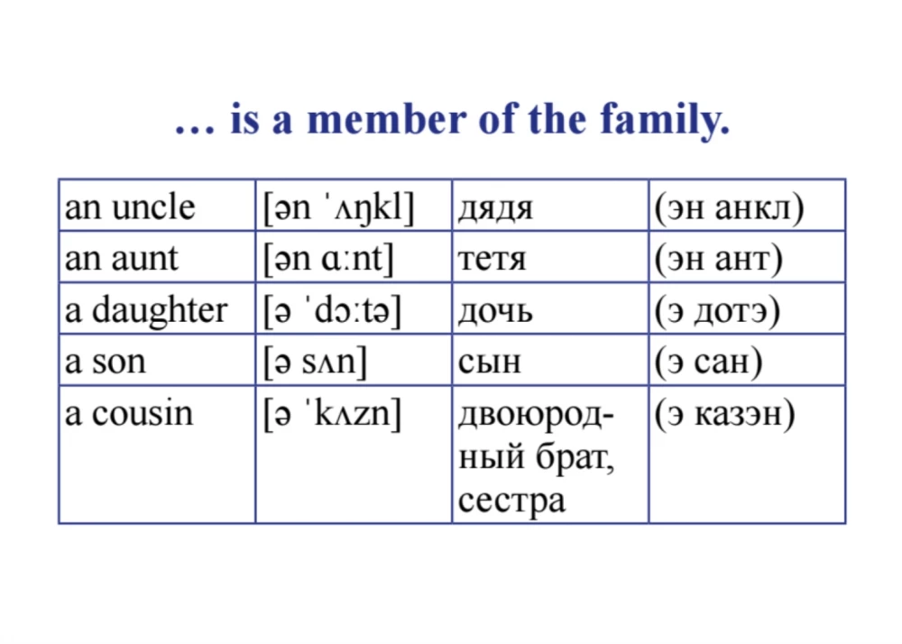Set of Cards English Language. My First Words and Phrases. Didactic Cards (60 Cards)