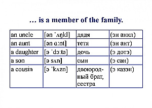 Set of Cards English Language. My First Words and Phrases. Didactic Cards (60 Cards)
