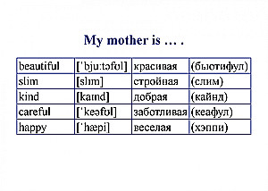 Set of Cards English Language. My First Words and Phrases. Didactic Cards (60 Cards)