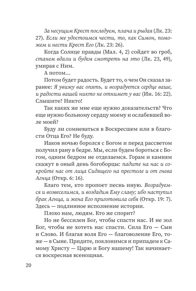 Pusvalandžio tylos. Ese apie Dievą, žmogų, šiuolaikinę kultūrą