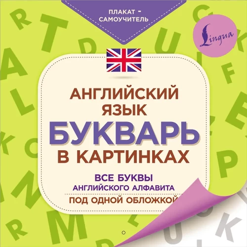 English Language. Illustrated Primer. Self-Teaching Poster