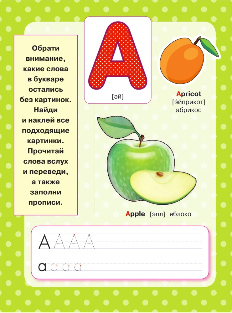 Английский язык. Букварь в картинках