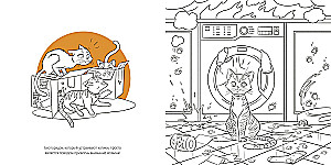 Katzen