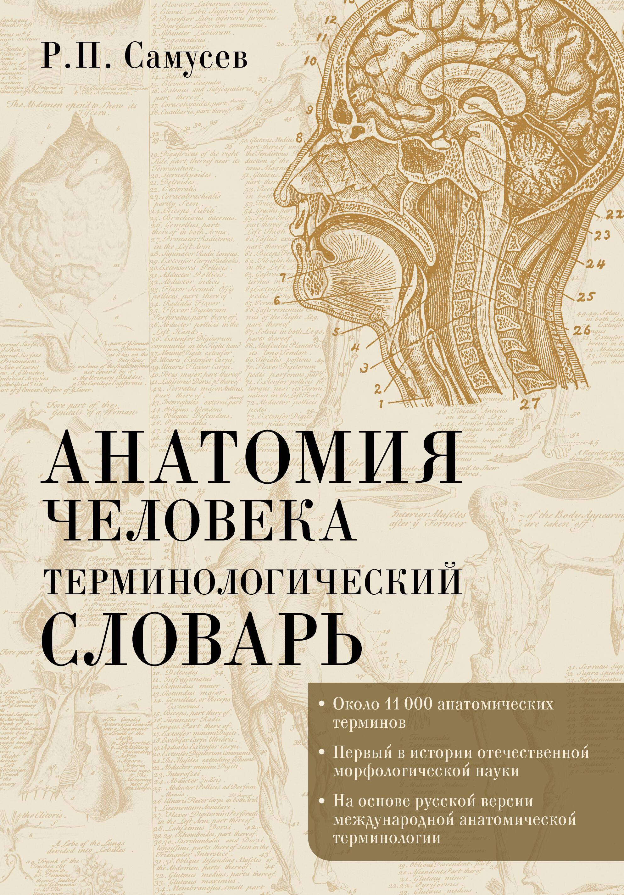 Cilvēka anatomija. Terminoloģijas vārdnīca
