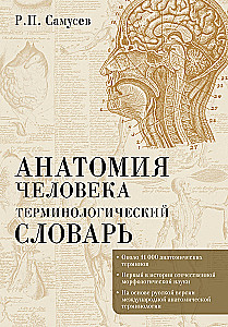 Anatomia człowieka. Słownik terminologiczny