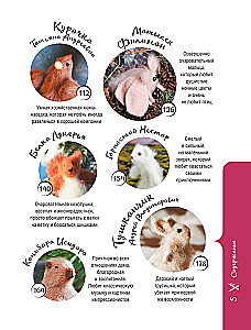 Miękkie zabawki na drutach. 12 puszystych zwierząt, które łatwo wydziergać i nie trzeba zszywać
