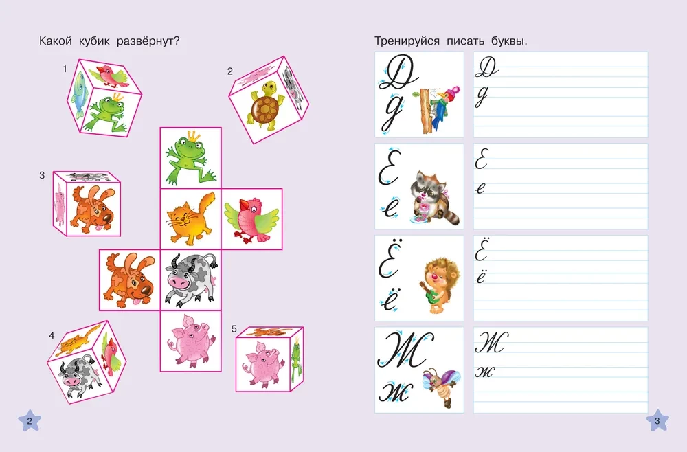 Calligraphic Reusable Workbooks