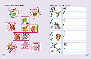 Calligraphic Reusable Workbooks