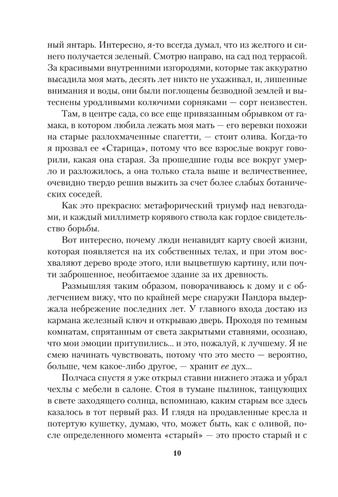 Olivkų medis