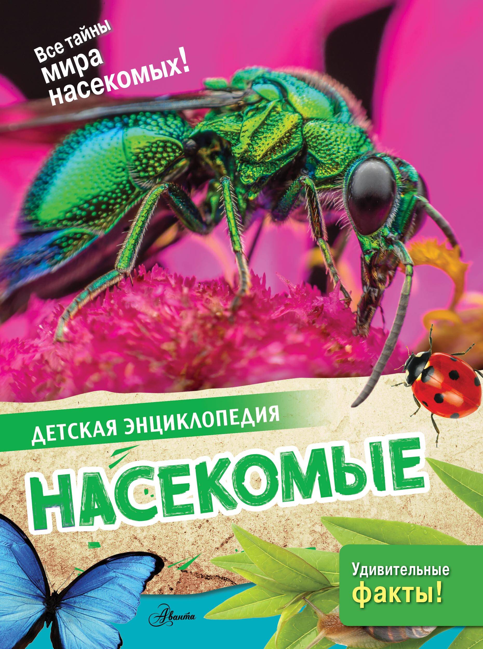 Kukaiņi