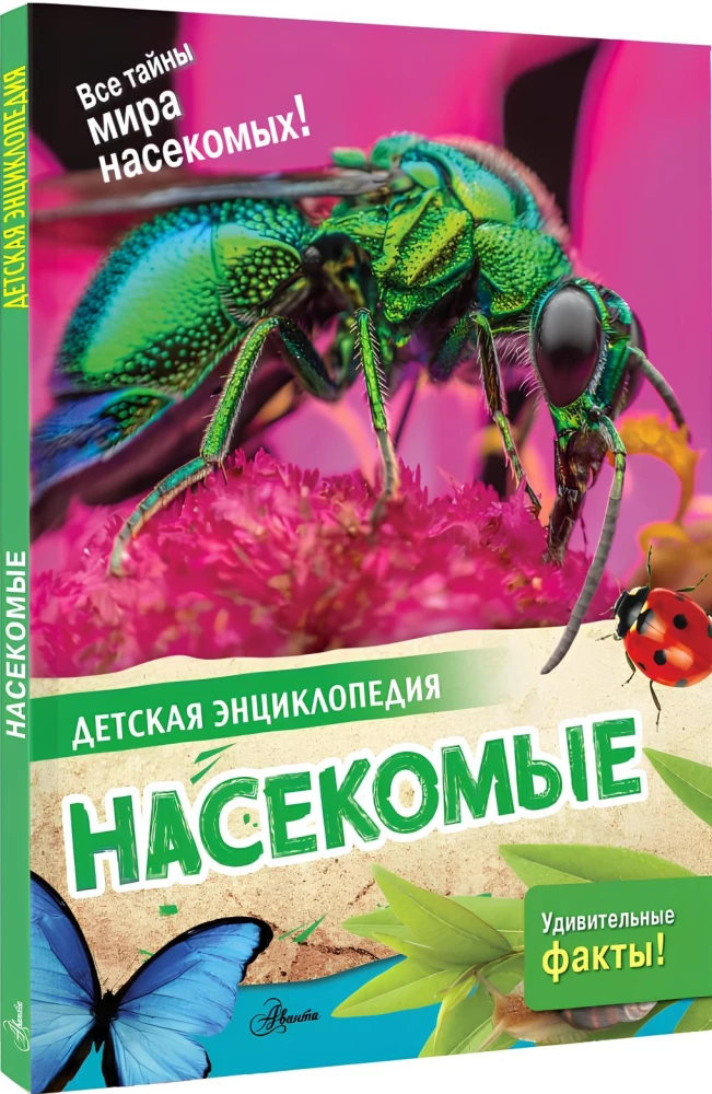 Насекомые
